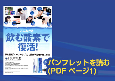 パンフレットを見る（PDF ページ1）